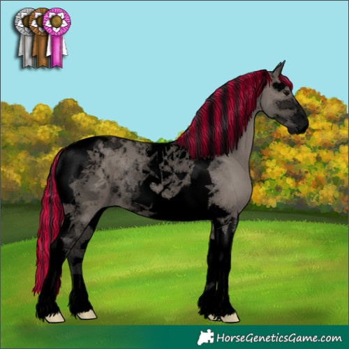 Horse Color:Void Painted Grullo Tobiano 