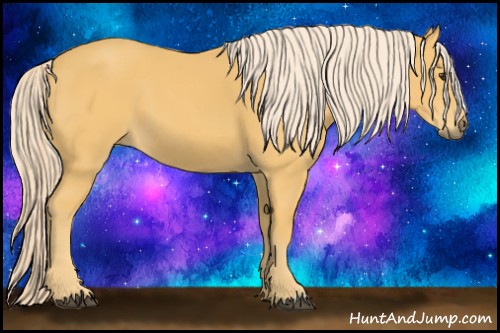 Horse Color:Palomino 