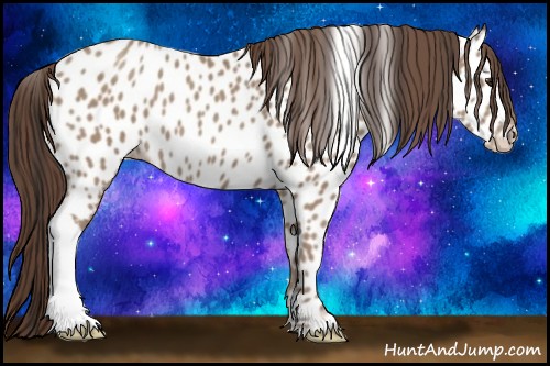 Horse Color:Classic Champagne Near Leopard