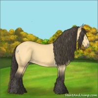Horse Color:Buckskin Dun  and Buckskin Dun 
