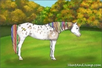 Horse Color:Painted Silver Brown Onyx Splash Appaloosa 