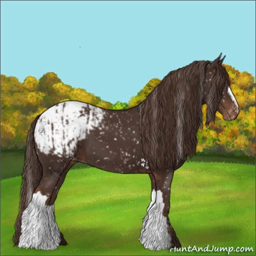 Horse Color:Liver Chestnut Appaloosa  and Liver Chestnut Appaloosa 