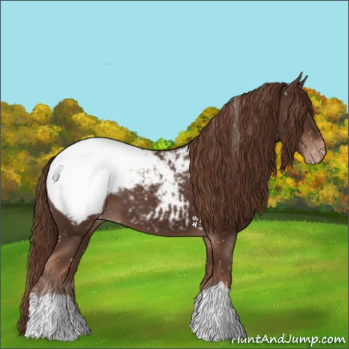 Horse Color:Liver Chestnut Appaloosa