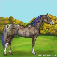 Horse Color:Painted Liver Chestnut Ice Pearl 