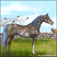 Horse Color:Painted Liver Chestnut Ice Pearl