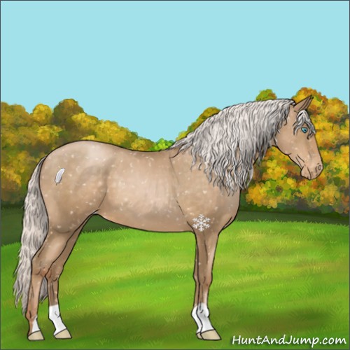 Horse Color:Silver Smoky Black Pearl Appaloosa 