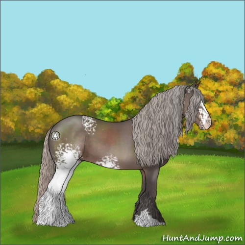 Horse Color:White Spotted Silver Black Sabino 