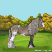 Horse Color:White Spotted Silver Black Sabino 