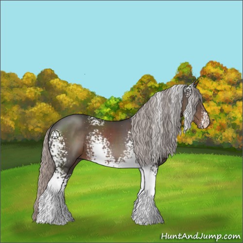 Horse Color:White Spotted Silver Black Sabino