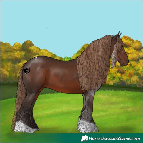 Horse Color:Liver Chestnut Tobiano 