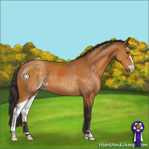Horse Color:Buckskin Sabino