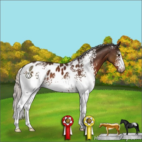 Horse Color:White Spotted Silver Brown Near Leopard