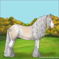Horse Color:White Spotted Silver Smoky Creme 
