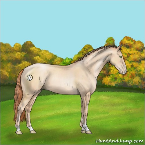 Horse Color:Classic Champagne Pearl Sabino 
