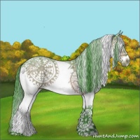 Horse Color:Watercolor White Spotted Bay Roan Frame 