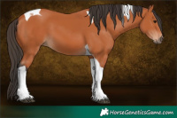 Horse Color:Bay Tobiano 