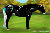 Horse Color:Palomino Splash Tobiano