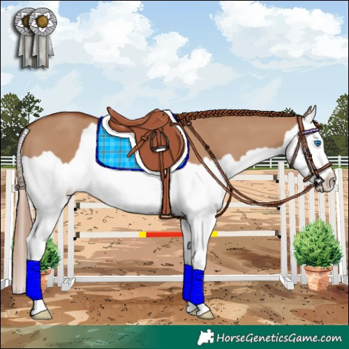 Horse Color:Red Dun Splash 