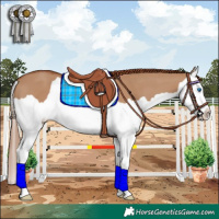 Horse Color:Red Dun Splash 