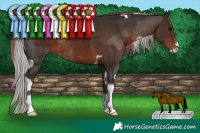 Horse Color:Silver Black Sabino Tobiano  and Liver Chestnut Sabino Tobiano 