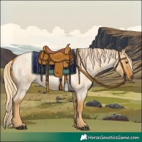 Horse Color:Palomino Roan Dun