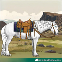Horse Color:Gray Smoky Creme Near Leopard 