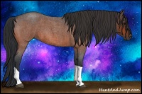 Horse Color:Bay Roan Tobiano 