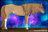 Horse Color:Red Roan Tobiano 