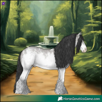 Horse Color:White Spotted Grullo Sabino Rabicano
