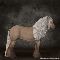 Horse Color:Silver Grullo Sabino Rabicano