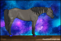 Horse Color:Grullo Sabino Rabicano 