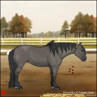 Horse Color:Grullo Sabino Rabicano