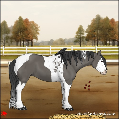 Horse Color:Grullo Splash Tobiano