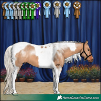Horse Color:Silver Bay Dun Tobiano 