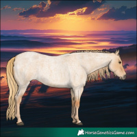 Horse Color:Red Dun Roan 