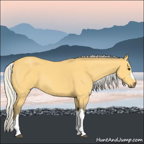 Horse Color:Silver Buckskin