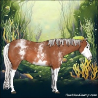 Horse Color:White Spotted Silver Bay Splash 