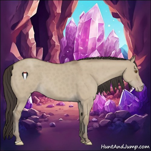 Horse Color:Classic Champagne Dun