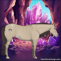 Horse Color:Classic Champagne Dun 