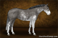 Horse Color:Grullo Sabino Rabicano 