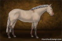 Horse Color:Silver Brown Dun 