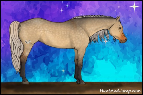 Horse Color:Silver Buckskin Dun 
