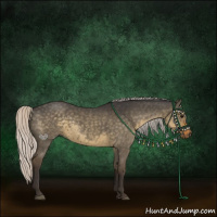 Horse Color:Silver Smoky Grullo 