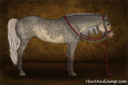 Horse Color:Silver Smoky Grullo 