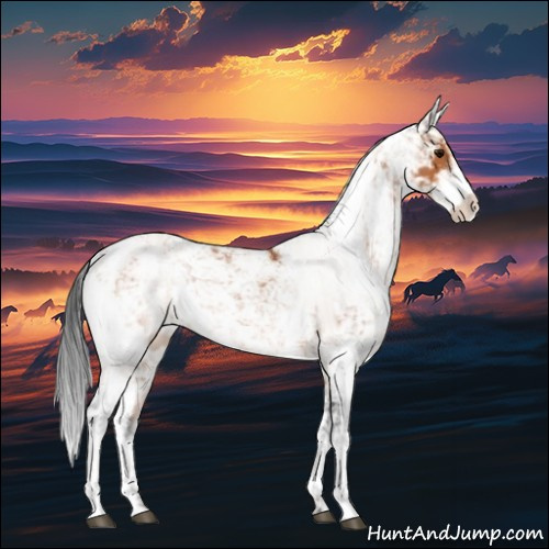 Horse Color:Bay Sabino 