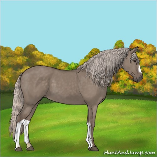 Horse Color:Silver Grullo 