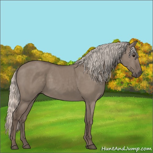Horse Color:Silver Grullo