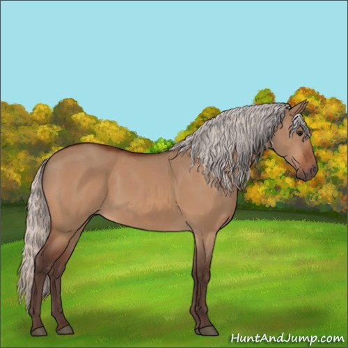 Horse Color:Silver Bay Dun 