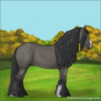 Horse Color:Grullo Sabino Rabicano
