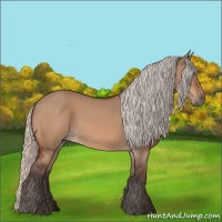 Horse Color:Silver Bay Dun 